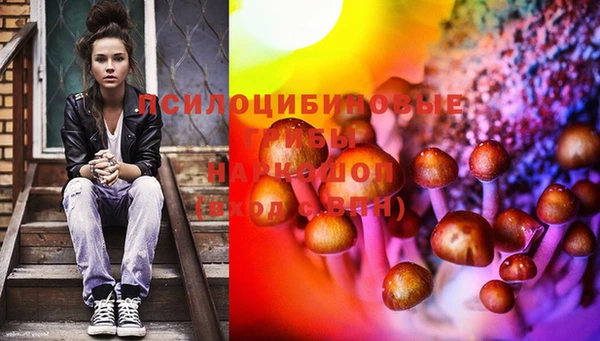 MESCALINE Алзамай