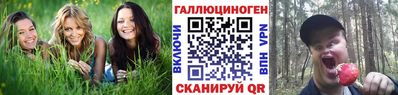 Галлюциногенные грибы Magic Shrooms  МЕГА ССЫЛКА  Казань 